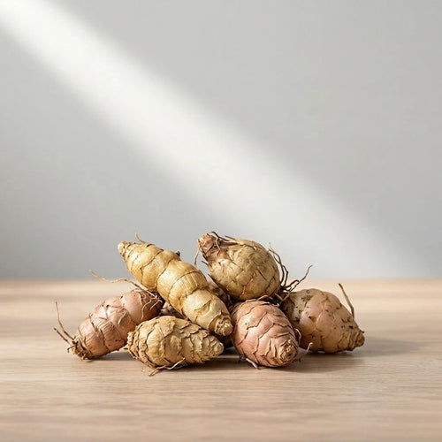 Achimenes Mix Bulb (1pc)