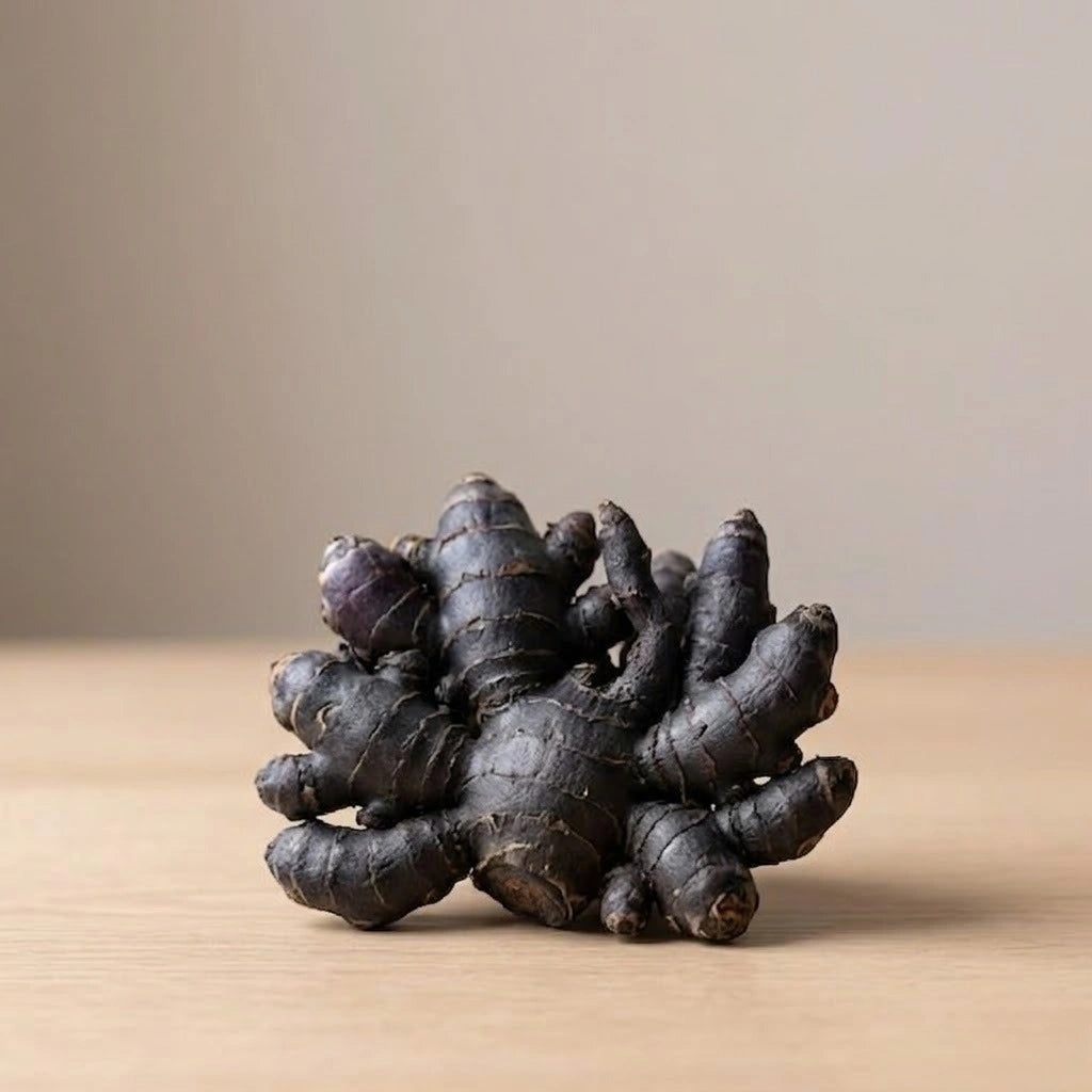 Black Turmeric Bulb